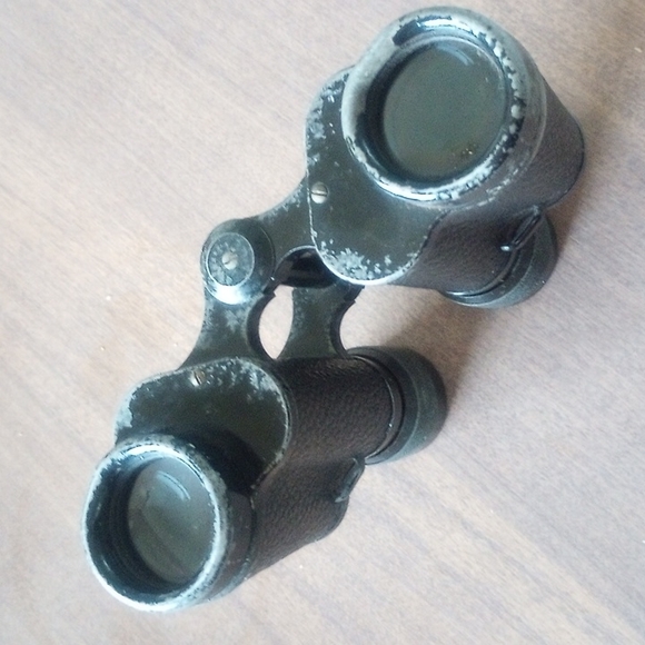 CARL ZEISS Jena DELTRENTIS 8x30 Binoculars (circa 1924) - Picture 4 of 12